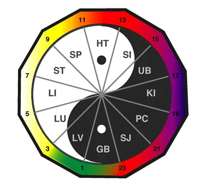 Chinese body clock diagram: 12 meridians in a yin-yang circle, Lung 3am to Liver 1am